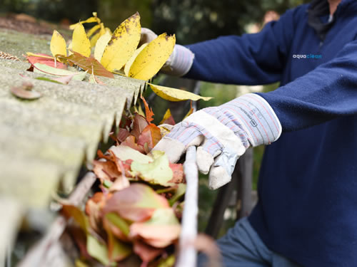 gutter cleaning