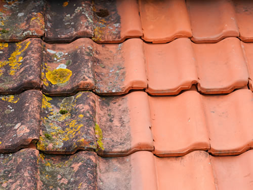 roof cleaning comparison of before and after